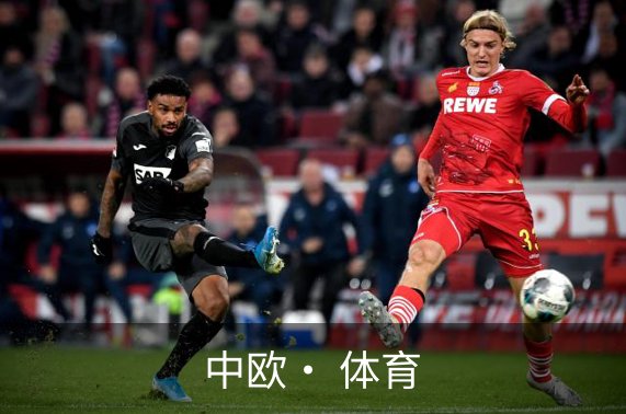 关于中欧· 体育